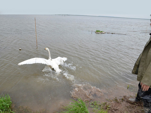 2014��3��С���ŷ�