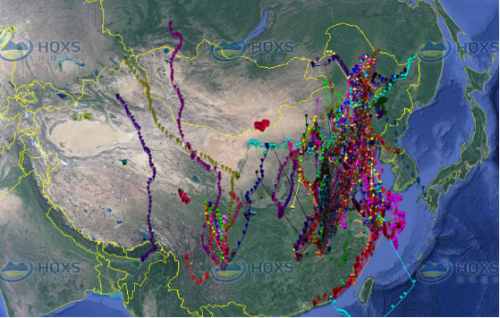 7790±Ø·¢¼¯ÍŹÙÍøÈë¿Ú,ºþÄÏÒ°Éú¶¯Îï×·×Ù,ºþÄÏÎÀÐÇ×·×ÙÆ÷,ºþÄÏ×·×ÙÆ÷ 7790±Ø·¢¼¯ÍŹÙÍøÈë¿Ú,ºþÄÏÒ°Éú¶¯Îï×·×Ù,ºþÄÏÎÀÐÇ×·×ÙÆ÷,ºþÄÏ×·×ÙÆ÷