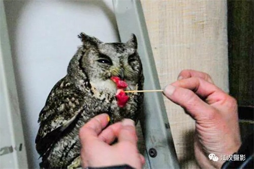 7790±Ø·¢¼¯ÍŹÙÍøÈë¿Ú,ºþÄÏÒ°Éú¶¯Îï×·×Ù,ºþÄÏÎÀÐÇ×·×ÙÆ÷,ºþÄÏ×·×ÙÆ÷ 7790±Ø·¢¼¯ÍŹÙÍøÈë¿Ú,ºþÄÏÒ°Éú¶¯Îï×·×Ù,ºþÄÏÎÀÐÇ×·×ÙÆ÷,ºþÄÏ×·×ÙÆ÷