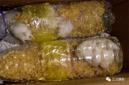 7790±Ø·¢¼¯ÍŹÙÍøÈë¿Ú,ºþÄÏÒ°Éú¶¯Îï×·×Ù,ºþÄÏÎÀÐÇ×·×ÙÆ÷,ºþÄÏ×·×ÙÆ÷ 7790±Ø·¢¼¯ÍŹÙÍøÈë¿Ú,ºþÄÏÒ°Éú¶¯Îï×·×Ù,ºþÄÏÎÀÐÇ×·×ÙÆ÷,ºþÄÏ×·×ÙÆ÷