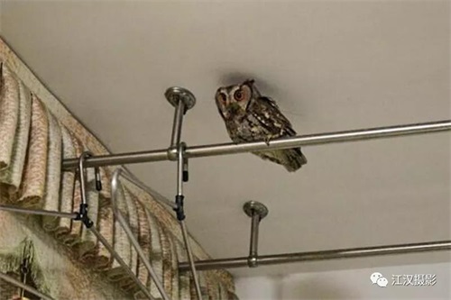 7790±Ø·¢¼¯ÍŹÙÍøÈë¿Ú,ºþÄÏÒ°Éú¶¯Îï×·×Ù,ºþÄÏÎÀÐÇ×·×ÙÆ÷,ºþÄÏ×·×ÙÆ÷ 7790±Ø·¢¼¯ÍŹÙÍøÈë¿Ú,ºþÄÏÒ°Éú¶¯Îï×·×Ù,ºþÄÏÎÀÐÇ×·×ÙÆ÷,ºþÄÏ×·×ÙÆ÷