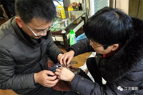 7790±Ø·¢¼¯ÍŹÙÍøÈë¿Ú,ºþÄÏÒ°Éú¶¯Îï×·×Ù,ºþÄÏÎÀÐÇ×·×ÙÆ÷,ºþÄÏ×·×ÙÆ÷ 7790±Ø·¢¼¯ÍŹÙÍøÈë¿Ú,ºþÄÏÒ°Éú¶¯Îï×·×Ù,ºþÄÏÎÀÐÇ×·×ÙÆ÷,ºþÄÏ×·×ÙÆ÷