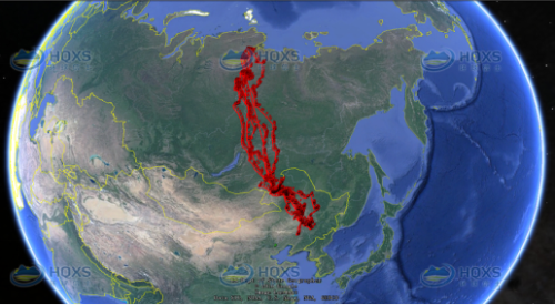 7790±Ø·¢¼¯ÍŹÙÍøÈë¿Ú,ºþÄÏÒ°Éú¶¯Îï×·×Ù,ºþÄÏÎÀÐÇ×·×ÙÆ÷,ºþÄÏ×·×ÙÆ÷ 7790±Ø·¢¼¯ÍŹÙÍøÈë¿Ú,ºþÄÏÒ°Éú¶¯Îï×·×Ù,ºþÄÏÎÀÐÇ×·×ÙÆ÷,ºþÄÏ×·×ÙÆ÷