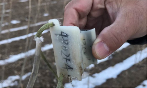 7790±Ø·¢¼¯ÍŹÙÍøÈë¿Ú,ºþÄÏÒ°Éú¶¯Îï×·×Ù,ºþÄÏÎÀÐÇ×·×ÙÆ÷,ºþÄÏ×·×ÙÆ÷ 7790±Ø·¢¼¯ÍŹÙÍøÈë¿Ú,ºþÄÏÒ°Éú¶¯Îï×·×Ù,ºþÄÏÎÀÐÇ×·×ÙÆ÷,ºþÄÏ×·×ÙÆ÷