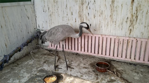 7790±Ø·¢¼¯ÍŹÙÍøÈë¿Ú,ºþÄÏÒ°Éú¶¯Îï×·×Ù,ºþÄÏÎÀÐÇ×·×ÙÆ÷,ºþÄÏ×·×ÙÆ÷ 7790±Ø·¢¼¯ÍŹÙÍøÈë¿Ú,ºþÄÏÒ°Éú¶¯Îï×·×Ù,ºþÄÏÎÀÐÇ×·×ÙÆ÷,ºþÄÏ×·×ÙÆ÷