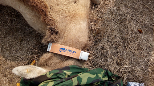 7790�ط����Ź������,����Ұ������׷��,��������׷����,����׷����