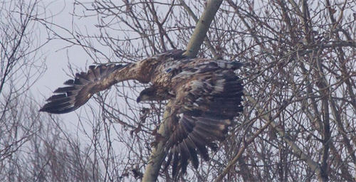 7790�ط����Ź������,����Ұ������׷��,��������׷����,����׷����