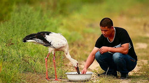 7790±Ø·¢¼¯ÍŹÙÍøÈë¿Ú,ºþÄÏÒ°Éú¶¯Îï×·×Ù,ºþÄÏÎÀÐÇ×·×ÙÆ÷,ºþÄÏ×·×ÙÆ÷ 7790±Ø·¢¼¯ÍŹÙÍøÈë¿Ú,ºþÄÏÒ°Éú¶¯Îï×·×Ù,ºþÄÏÎÀÐÇ×·×ÙÆ÷,ºþÄÏ×·×ÙÆ÷