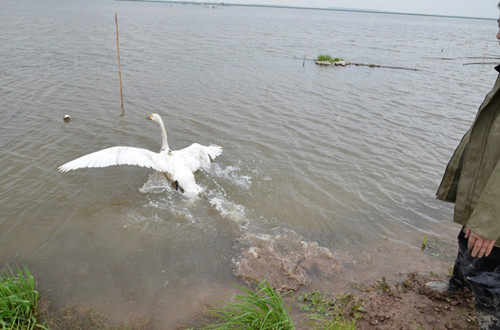 7790�ط����Ź������,����Ұ������׷��,��������׷����,����׷����