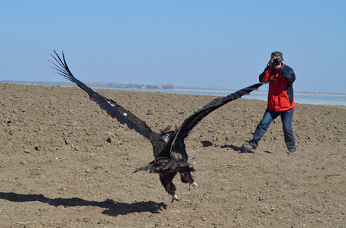 7790±Ø·¢¼¯ÍŹÙÍøÈë¿Ú,ºþÄÏÒ°Éú¶¯Îï×·×Ù,ºþÄÏÎÀÐÇ×·×ÙÆ÷,ºþÄÏ×·×ÙÆ÷ 7790±Ø·¢¼¯ÍŹÙÍøÈë¿Ú,ºþÄÏÒ°Éú¶¯Îï×·×Ù,ºþÄÏÎÀÐÇ×·×ÙÆ÷,ºþÄÏ×·×ÙÆ÷