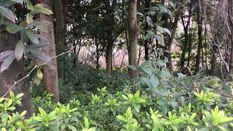 7790�ط����Ź������,����Ұ������׷��,��������׷����,����׷����