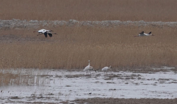 7790�ط����Ź������,����Ұ������׷��,��������׷����,����׷����