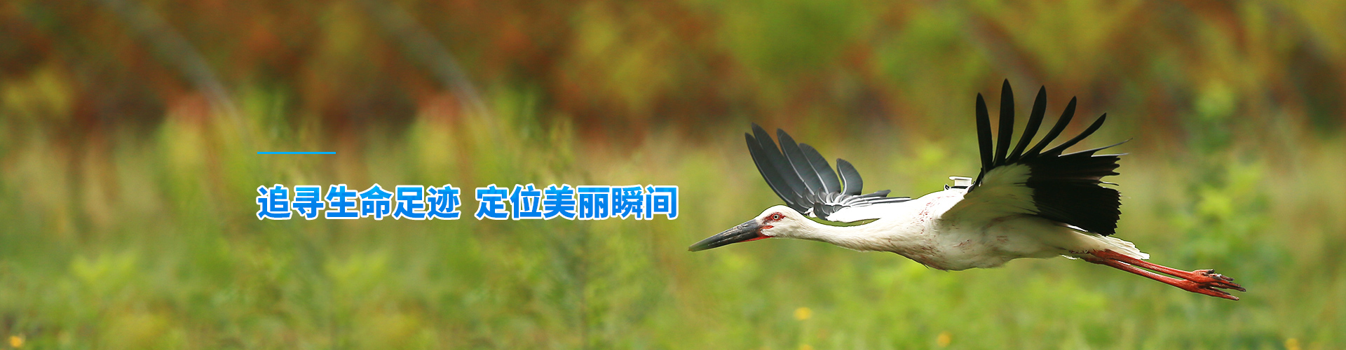 7790�ط����Ź������_����Ұ������׷��|��������׷����