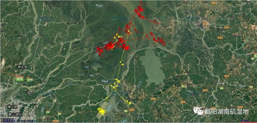 7790�ط����Ź������,����Ұ������׷��,��������׷����,����׷����