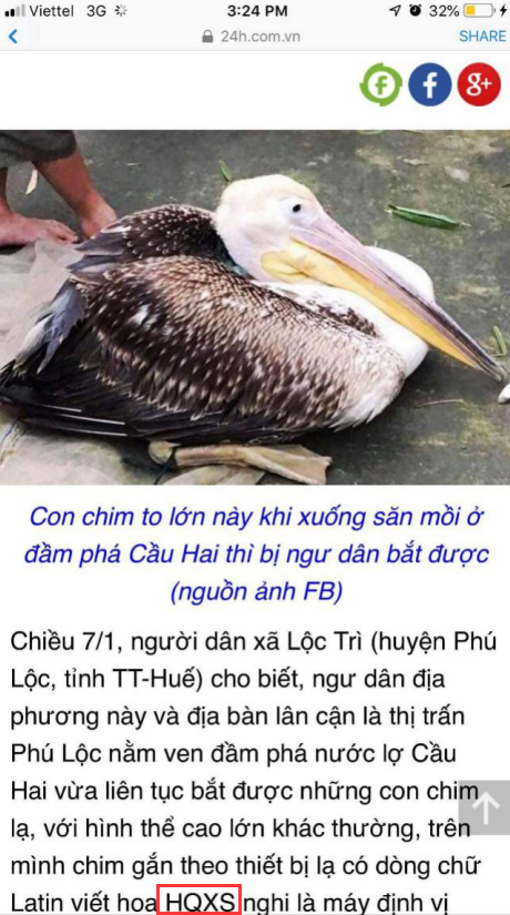 7790�ط����Ź������,����Ұ������׷��,��������׷����,����׷����