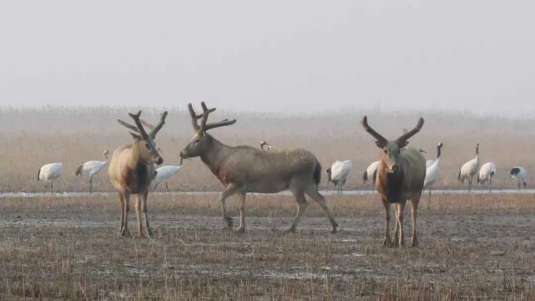 7790�ط����Ź������,����Ұ������׷��,��������׷����,����׷����