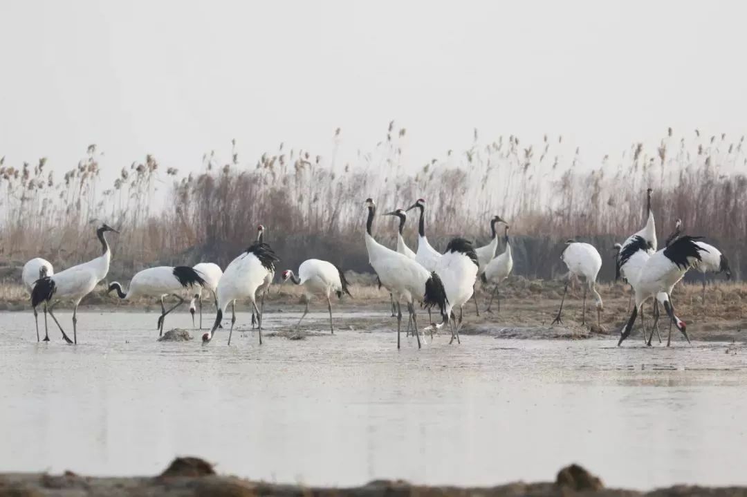 7790�ط����Ź������,����Ұ������׷��,��������׷����,����׷����