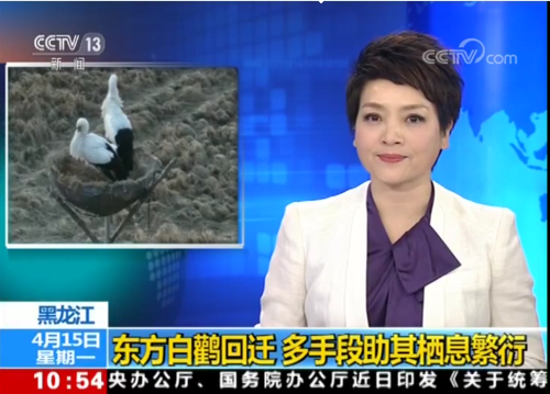 7790�ط����Ź������,����Ұ������׷��,��������׷����,����׷����