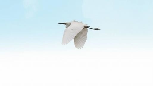 7790�ط����Ź������,����Ұ������׷��,��������׷����,����׷����