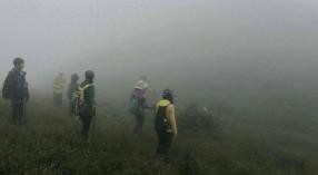 7790�ط����Ź������,����Ұ������׷��,��������׷����,����׷����