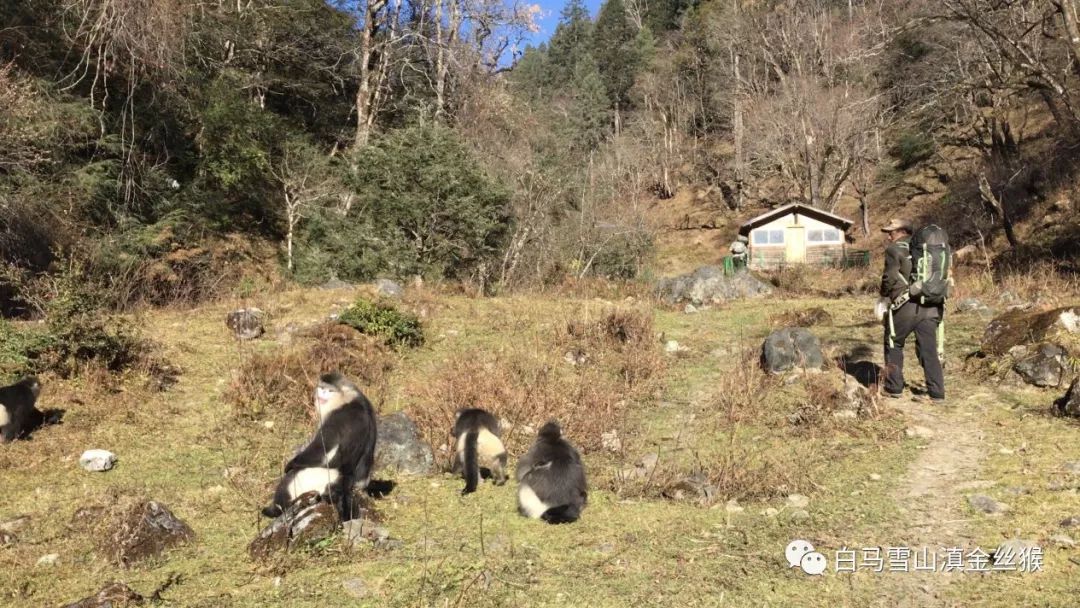 ���������Ͳ�,�Ͳ���,�Ͳ��,����ʱ���,�����,�Ͳ����Ǯ,�Ͳ�������,�Ͳ������