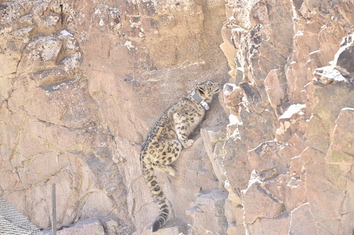 7790�ط����Ź������,����Ұ������׷��,��������׷����,����׷����