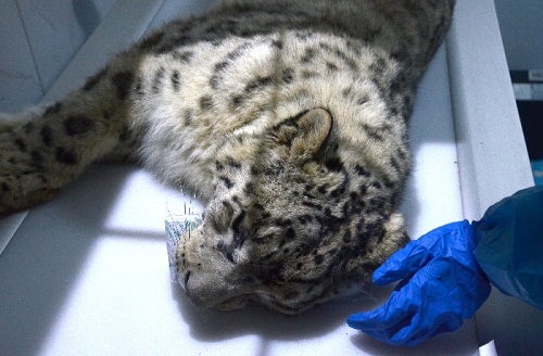 7790�ط����Ź������,����Ұ������׷��,��������׷����,����׷����