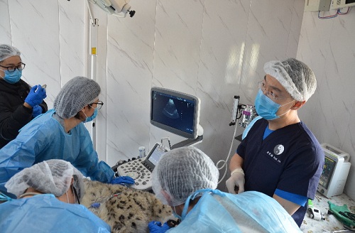 7790�ط����Ź������,����Ұ������׷��,��������׷����,����׷����