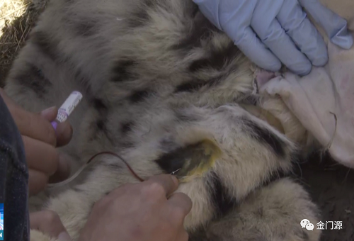 7790�ط����Ź������,����Ұ������׷��,��������׷����,����׷����