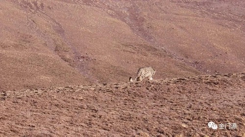 7790�ط����Ź������,����Ұ������׷��,��������׷����,����׷����