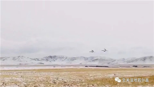 7790�ط����Ź������,����Ұ������׷��,��������׷����,����׷����