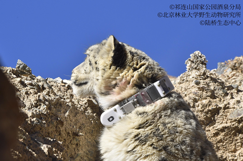 �й���7790�ط�����(�ɷ�)���޹�˾-�ٷ���վ