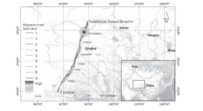 7790�ط����Ź������,����Ұ������׷��,��������׷����,����׷����