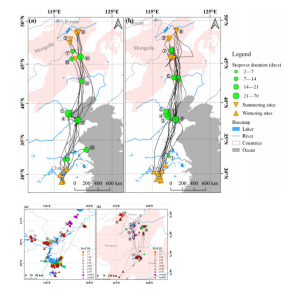 7790�ط����Ź������,����Ұ������׷��,��������׷����,����׷����