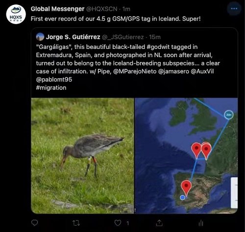 7790�ط����Ź������,����Ұ������׷��,��������׷����,����׷����