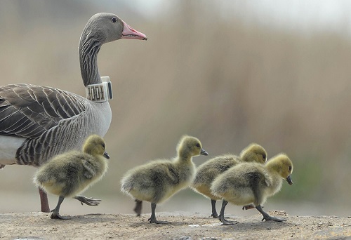 7790�ط����Ź������,����Ұ������׷��,��������׷����,����׷����