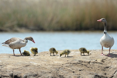 7790�ط����Ź������,����Ұ������׷��,��������׷����,����׷����