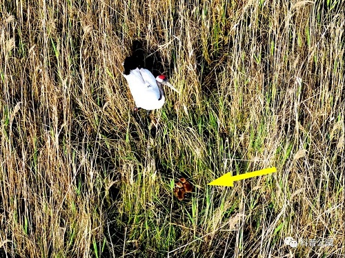 7790�ط����Ź������,����Ұ������׷��,��������׷����,����׷����