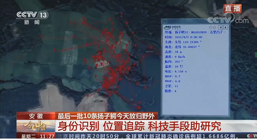 7790�ط����Ź������,����Ұ������׷��,��������׷����,����׷����