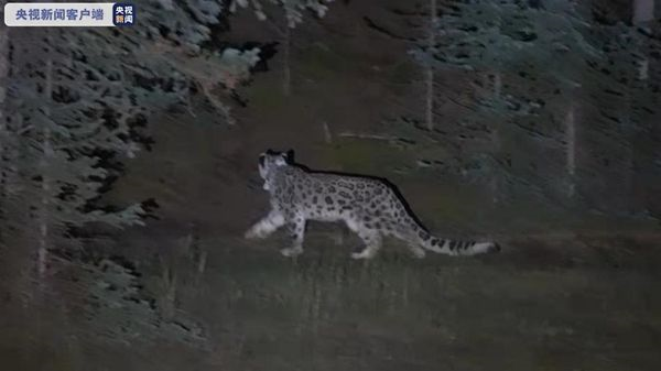 7790±Ø·¢¼¯ÍŹÙÍøÈë¿Ú,ºþÄÏÒ°Éú¶¯Îï×·×Ù,ºþÄÏÎÀÐÇ×·×ÙÆ÷,ºþÄÏ×·×ÙÆ÷ 7790±Ø·¢¼¯ÍŹÙÍøÈë¿Ú,ºþÄÏÒ°Éú¶¯Îï×·×Ù,ºþÄÏÎÀÐÇ×·×ÙÆ÷,ºþÄÏ×·×ÙÆ÷