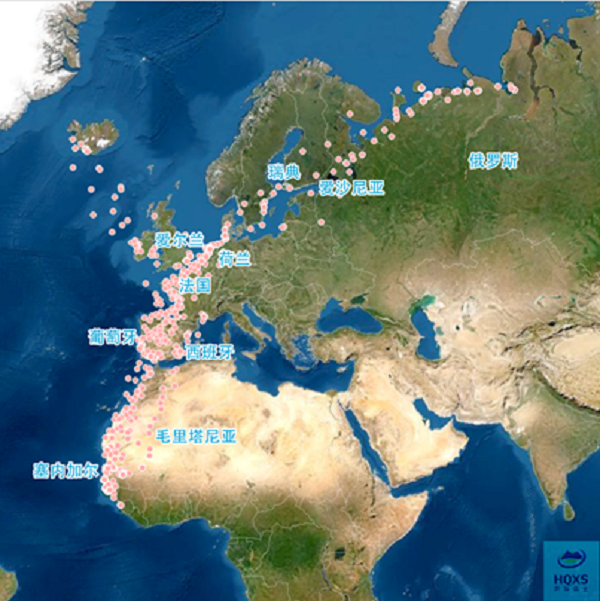 7790±Ø·¢¼¯ÍŹÙÍøÈë¿Ú,ºþÄÏÒ°Éú¶¯Îï×·×Ù,ºþÄÏÎÀÐÇ×·×ÙÆ÷,ºþÄÏ×·×ÙÆ÷ 7790±Ø·¢¼¯ÍŹÙÍøÈë¿Ú,ºþÄÏÒ°Éú¶¯Îï×·×Ù,ºþÄÏÎÀÐÇ×·×ÙÆ÷,ºþÄÏ×·×ÙÆ÷