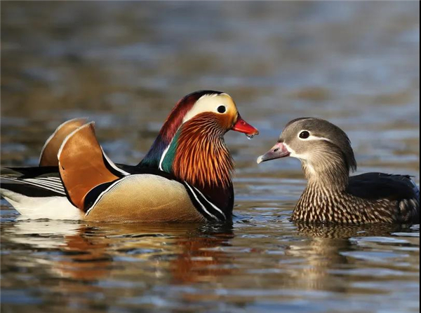 7790�ط����Ź������,����Ұ������׷��,��������׷����,����׷����