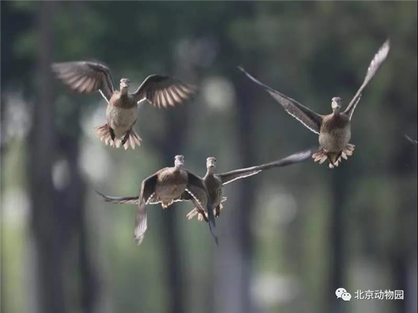 7790�ط����Ź������,����Ұ������׷��,��������׷����,����׷����