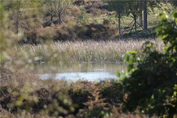 7790�ط����Ź������,����Ұ������׷��,��������׷����,����׷����