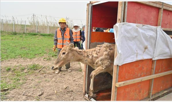 7790�ط����Ź������,����Ұ������׷��,��������׷����,����׷����