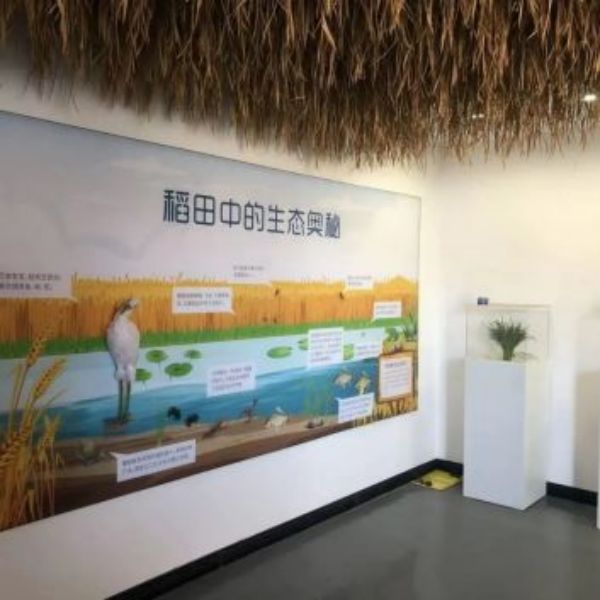 7790�ط����Ź������,����Ұ������׷��,��������׷����,����׷����