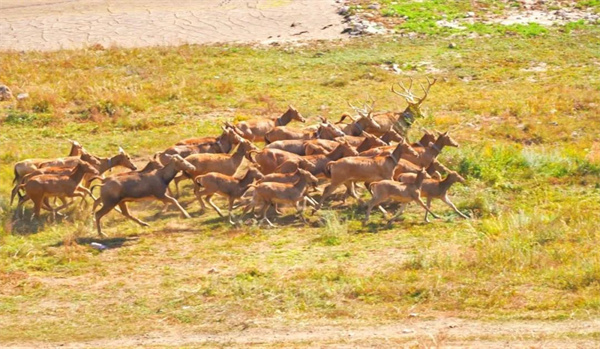 7790±Ø·¢¼¯ÍŹÙÍøÈë¿Ú,ºþÄÏÒ°Éú¶¯Îï×·×Ù,ºþÄÏÎÀÐÇ×·×ÙÆ÷,ºþÄÏ×·×ÙÆ÷ 7790±Ø·¢¼¯ÍŹÙÍøÈë¿Ú,ºþÄÏÒ°Éú¶¯Îï×·×Ù,ºþÄÏÎÀÐÇ×·×ÙÆ÷,ºþÄÏ×·×ÙÆ÷