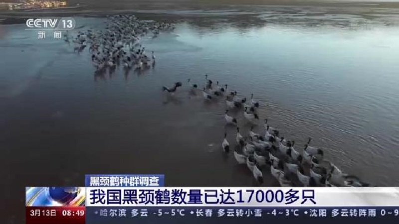 7790±Ø·¢¼¯ÍŹÙÍøÈë¿Ú,ºþÄÏÒ°Éú¶¯Îï×·×Ù,ºþÄÏÎÀÐÇ×·×ÙÆ÷,ºþÄÏ×·×ÙÆ÷ 7790±Ø·¢¼¯ÍŹÙÍøÈë¿Ú,ºþÄÏÒ°Éú¶¯Îï×·×Ù,ºþÄÏÎÀÐÇ×·×ÙÆ÷,ºþÄÏ×·×ÙÆ÷