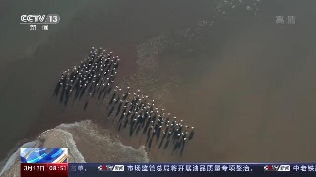 7790±Ø·¢¼¯ÍŹÙÍøÈë¿Ú,ºþÄÏÒ°Éú¶¯Îï×·×Ù,ºþÄÏÎÀÐÇ×·×ÙÆ÷,ºþÄÏ×·×ÙÆ÷ 7790±Ø·¢¼¯ÍŹÙÍøÈë¿Ú,ºþÄÏÒ°Éú¶¯Îï×·×Ù,ºþÄÏÎÀÐÇ×·×ÙÆ÷,ºþÄÏ×·×ÙÆ÷