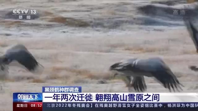 7790±Ø·¢¼¯ÍŹÙÍøÈë¿Ú,ºþÄÏÒ°Éú¶¯Îï×·×Ù,ºþÄÏÎÀÐÇ×·×ÙÆ÷,ºþÄÏ×·×ÙÆ÷ 7790±Ø·¢¼¯ÍŹÙÍøÈë¿Ú,ºþÄÏÒ°Éú¶¯Îï×·×Ù,ºþÄÏÎÀÐÇ×·×ÙÆ÷,ºþÄÏ×·×ÙÆ÷